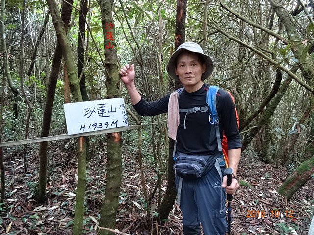 DSC01144.JPG - 橫嶺山自然步道、沙蓮山、橫嶺山、鳶嘴山、稍來山出大雪山森林遊樂區20161012