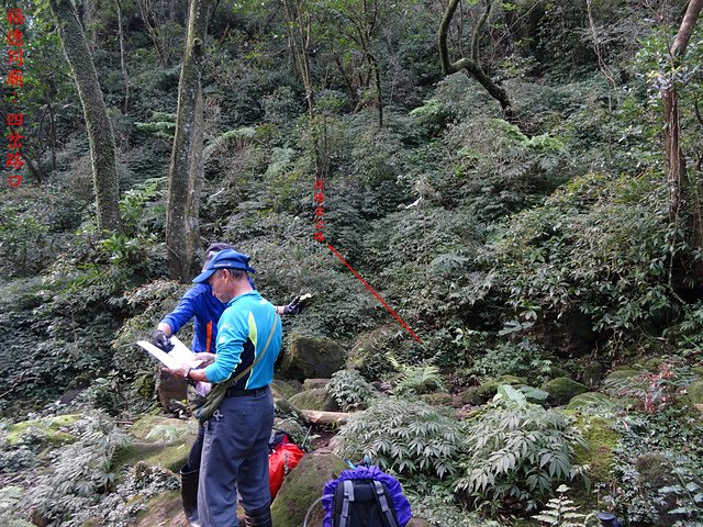 DSC06597.JPG - 阿里磅瀑布、竹里山、瀑布源頭、竹子山北北峰8字型走20170219