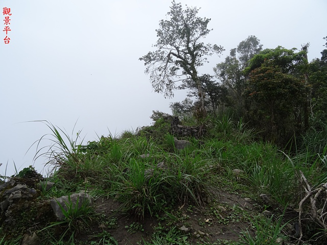 DSC08805.JPG - 禮同部落、立霧山、清水大山、千里眼山下砂卡噹步道三曰行（第1天）20170418