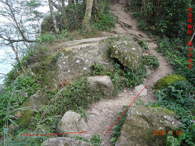 DSC02351.JPG - （鬼澤山）＋大隘山、五指山連峰、橫向步道連走20161106