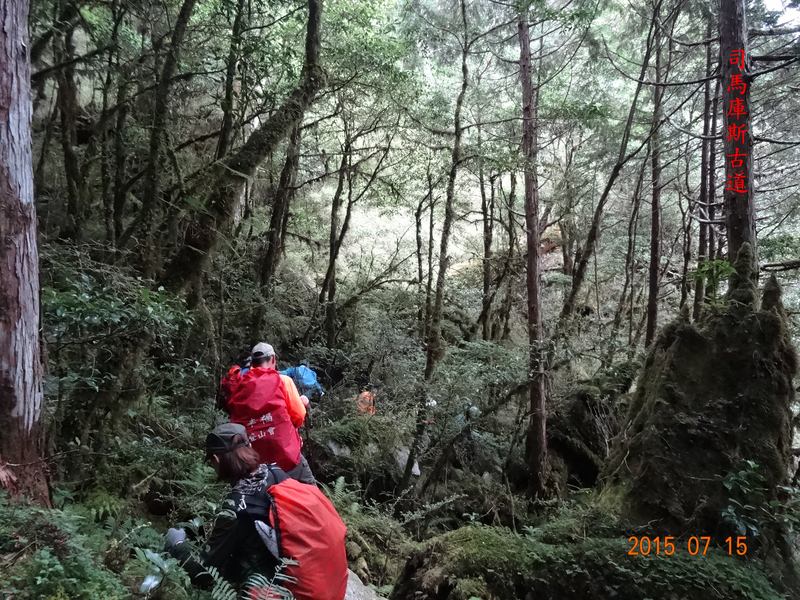 DSC01781.JPG - 司馬庫斯神木群越嶺鴛鴦湖外圍出100林道20150715