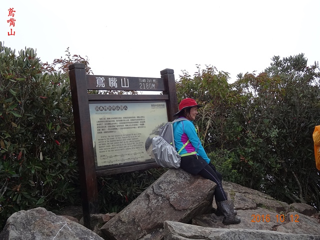 DSC01163.JPG - 橫嶺山自然步道、沙蓮山、橫嶺山、鳶嘴山、稍來山出大雪山森林遊樂區20161012