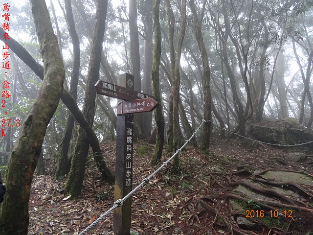 DSC01167.JPG - 橫嶺山自然步道、沙蓮山、橫嶺山、鳶嘴山、稍來山出大雪山森林遊樂區20161012