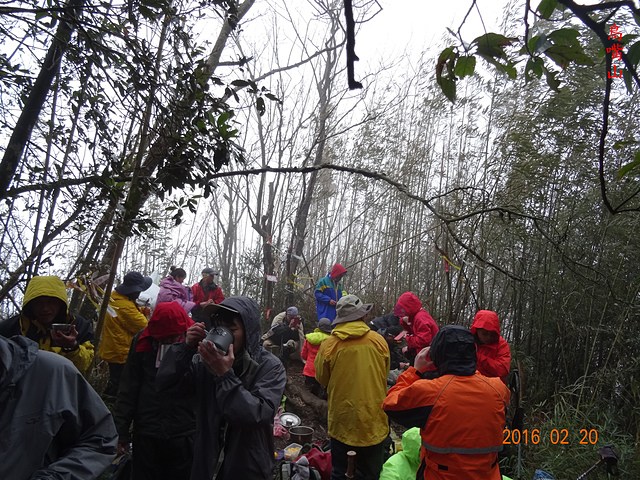 DSC04790.JPG - 大窩山、鳥嘴山、鵝公髻山下第一登山口20160220