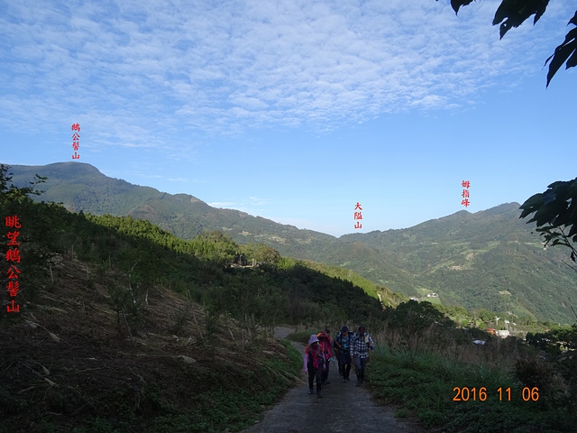 DSC02269.JPG - （鬼澤山）＋大隘山、五指山連峰、橫向步道連走20161106