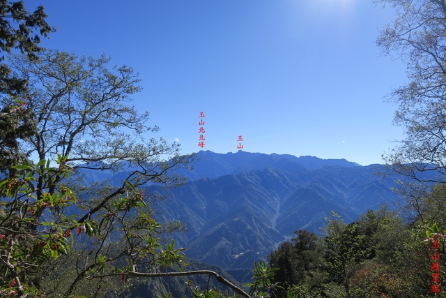 IMG_0434.JPG - 第二天：石猴遊憩區、松山、眠月神木、水漾森林20181202