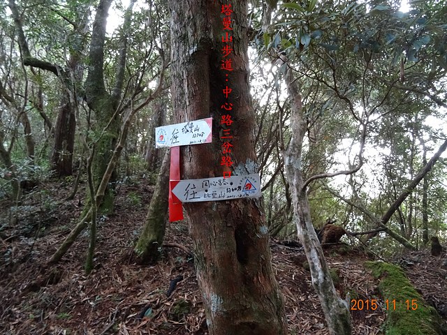 DSC01648.JPG - 夫婦山、拉拉山、塔曼山縱走20151115