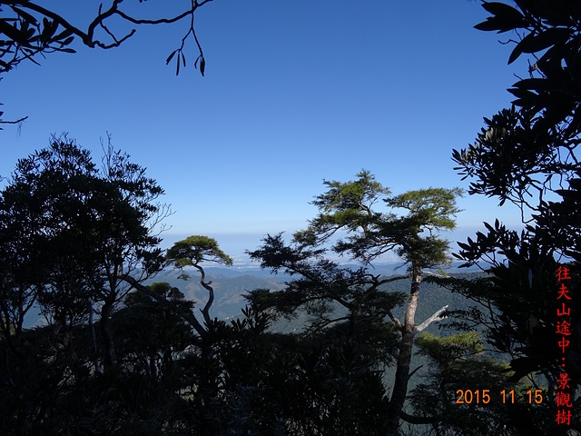 DSC01553.JPG - 夫婦山、拉拉山、塔曼山縱走20151115