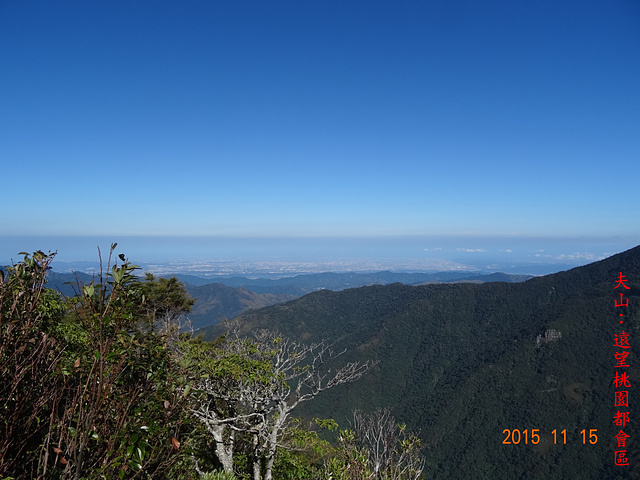 DSC01557.JPG - 夫婦山、拉拉山、塔曼山縱走20151115