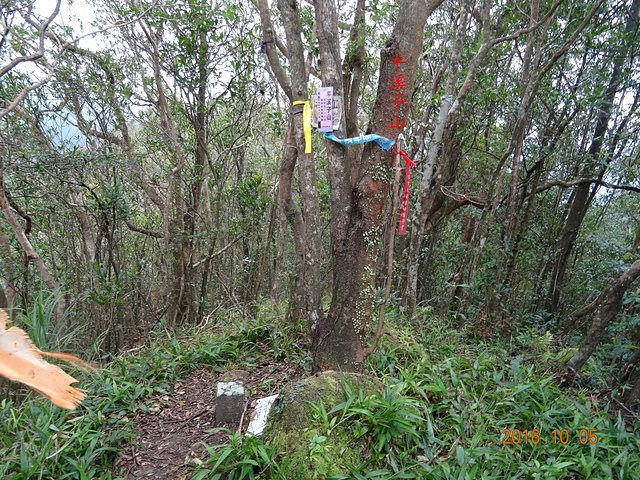 DSC00983.JPG - 白鷹岩、藍鵲峰、平溪子山、畝畝山、和尚尖、上內平林山20161005