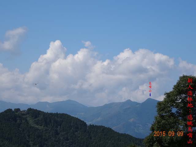 DSC00052.JPG - 油羅山西北峰、油羅山C型走20150909