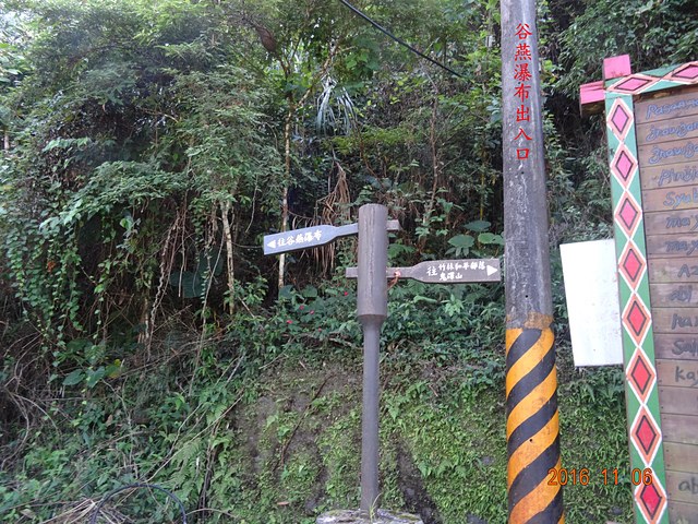 DSC02302.JPG - （鬼澤山）＋大隘山、五指山連峰、橫向步道連走20161106