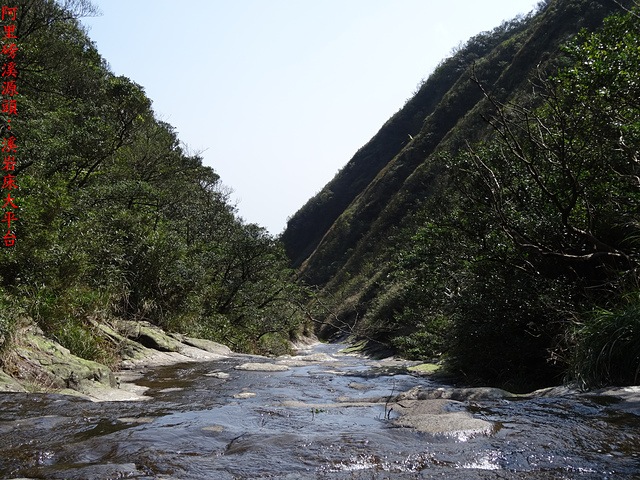 DSC06668.JPG - 阿里磅瀑布、竹里山、瀑布源頭、竹子山北北峰8字型走20170219