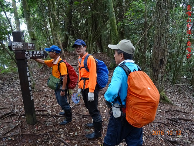 DSC01155.JPG - 橫嶺山自然步道、沙蓮山、橫嶺山、鳶嘴山、稍來山出大雪山森林遊樂區20161012