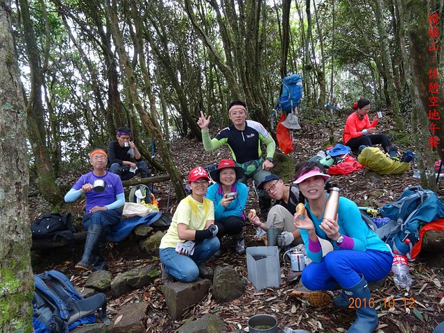 DSC01149.JPG - 橫嶺山自然步道、沙蓮山、橫嶺山、鳶嘴山、稍來山出大雪山森林遊樂區20161012