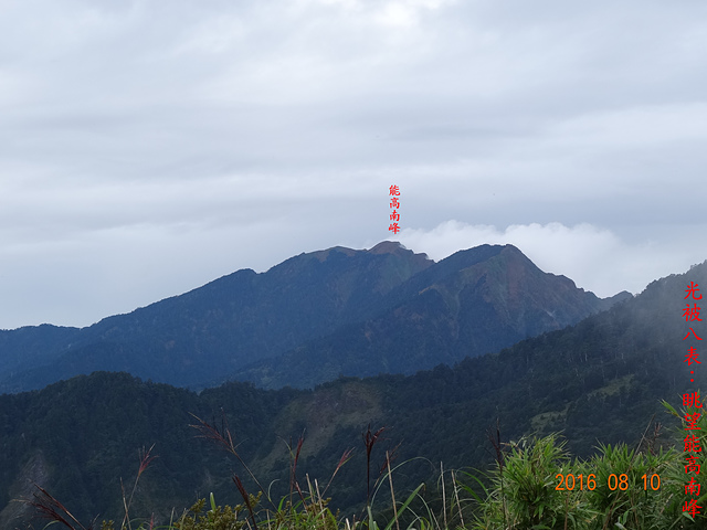 DSC09336.JPG - 奇萊南峰、南華山、尾上山、光被八表碑二日行（高山百岳）20160810~11