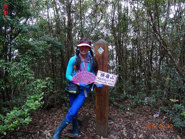 DSC01146.JPG - 橫嶺山自然步道、沙蓮山、橫嶺山、鳶嘴山、稍來山出大雪山森林遊樂區20161012