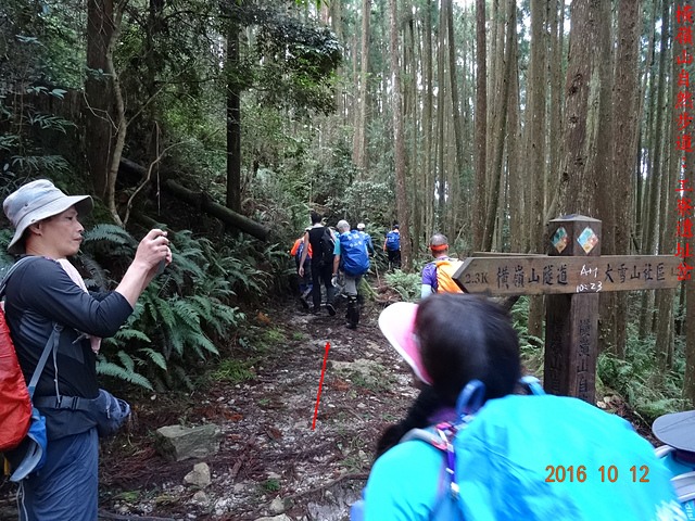 DSC01139.JPG - 橫嶺山自然步道、沙蓮山、橫嶺山、鳶嘴山、稍來山出大雪山森林遊樂區20161012