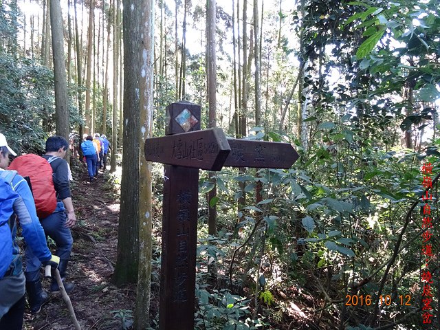 DSC01123.JPG - 橫嶺山自然步道、沙蓮山、橫嶺山、鳶嘴山、稍來山出大雪山森林遊樂區20161012