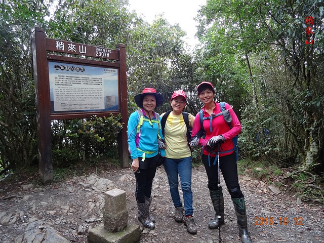 DSC01175.JPG - 橫嶺山自然步道、沙蓮山、橫嶺山、鳶嘴山、稍來山出大雪山森林遊樂區20161012