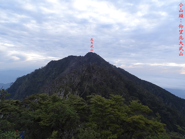 DSC09759.JPG - 北大武山、西大武山、日湯真山二日行（高山百岳）20170510~11